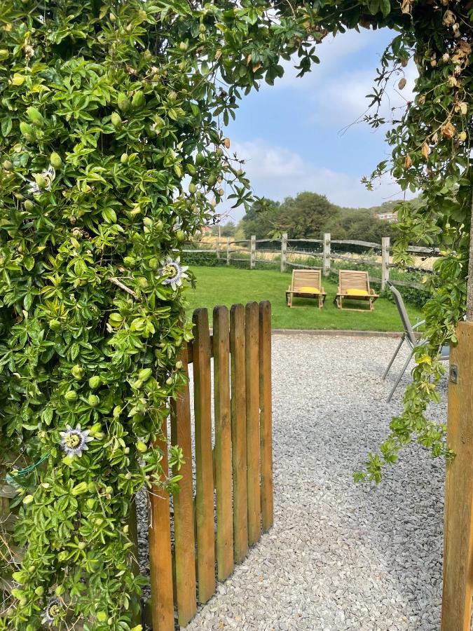 Holmdale Holiday Cottages Rye Eksteriør bilde